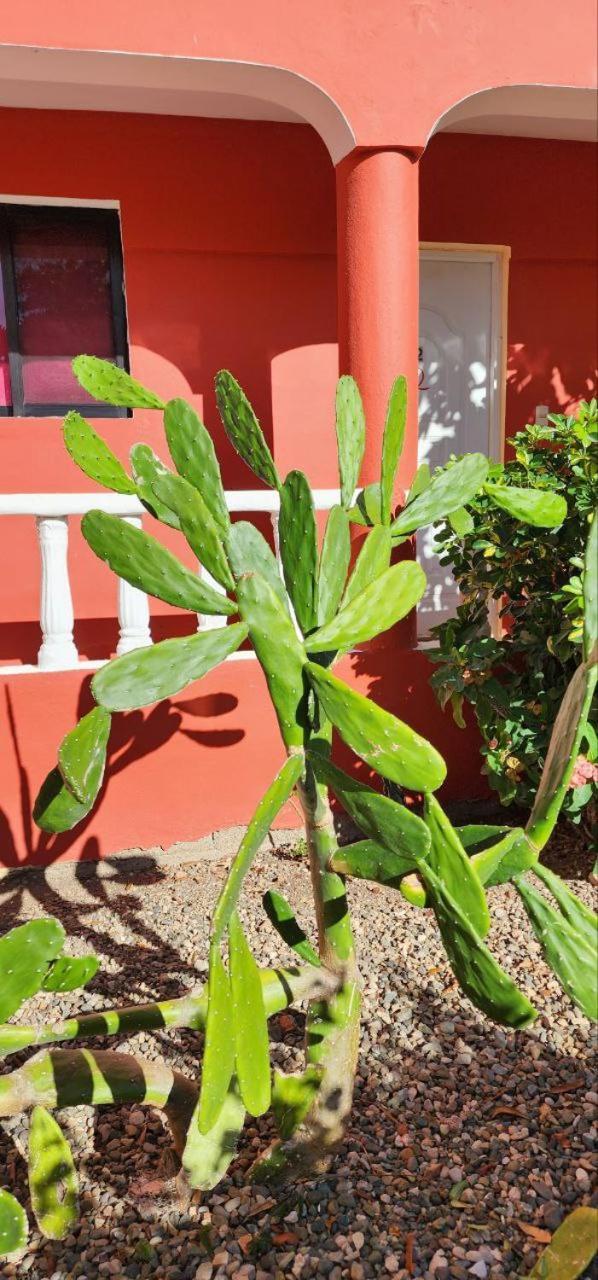 Villa Kiki Ensenada Punta Rucia Exterior foto